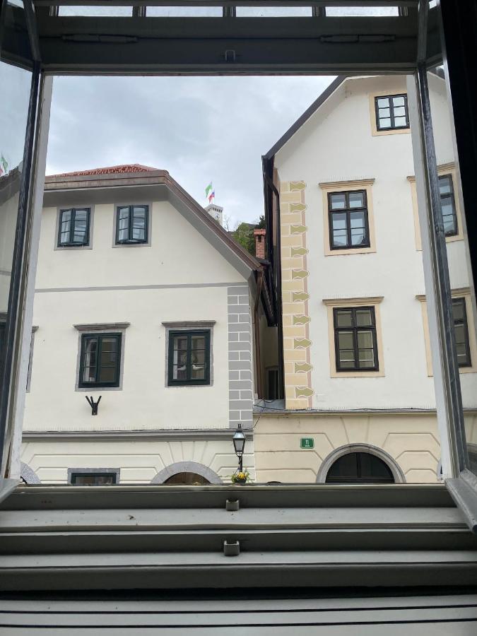 Vintage Charm Apartment Lublana Zewnętrze zdjęcie